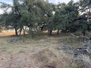 Georgetown, TX 78626