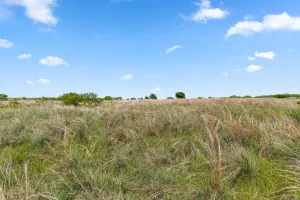 Montague, TX 76261