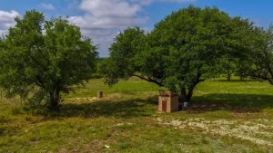 Hamilton, TX 76531