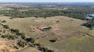 Gorman, TX 76454