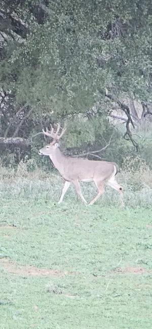 Comanche, TX 76442