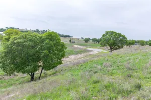 Ovalo, TX 79541