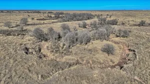 Wichita Falls, TX 76305