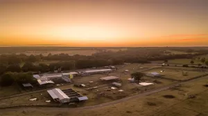 Franklin, TX 77856