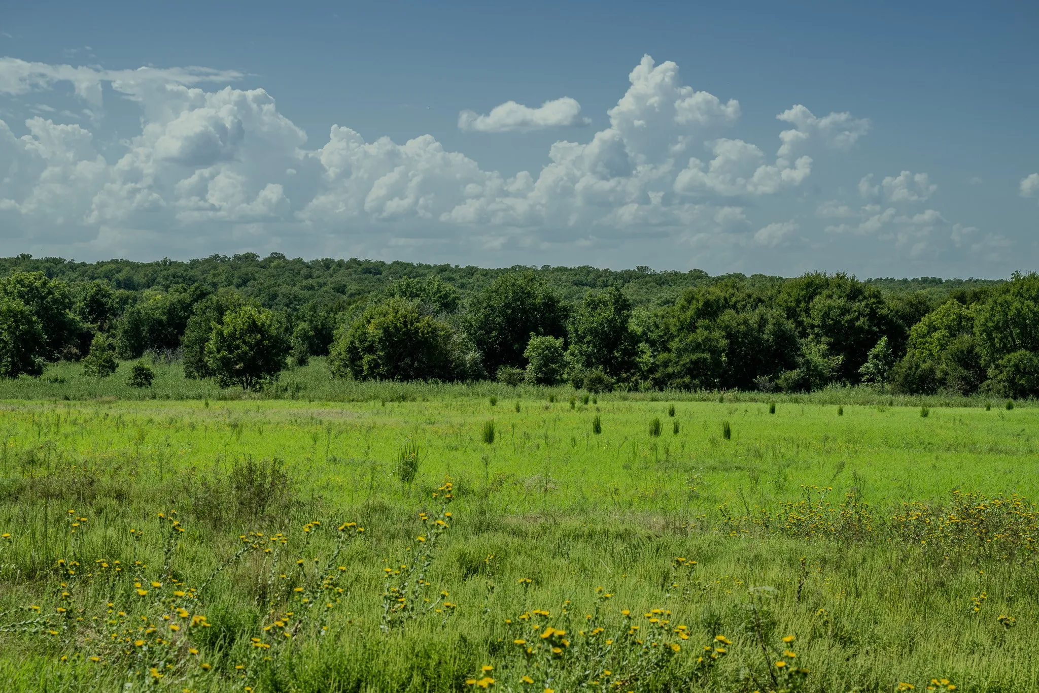 Henrietta, TX 76230
