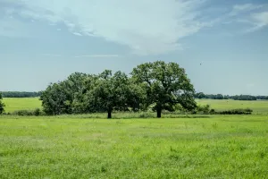 Henrietta, TX 76230
