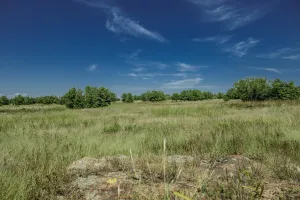 Henrietta, TX 76230