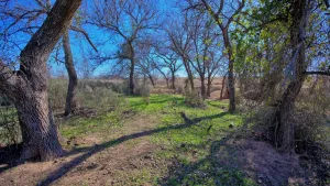 Wichita Falls, TX 76305