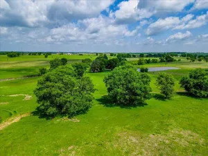 Covington, TX 76636