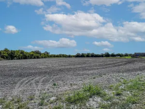 Lavon, TX 75166