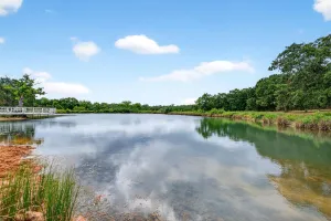Gordonville, TX 76245