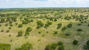Carlton, TX 76436