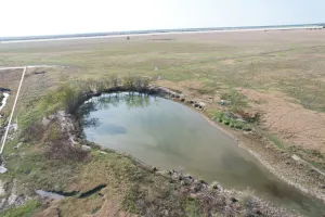 Marlin, TX 76661