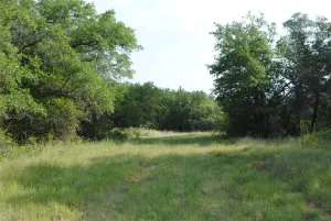 Comanche, TX 76442