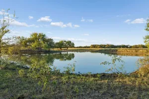 Point, TX 75472