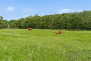 Bowie, TX 76230