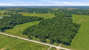 Denison, TX 75021