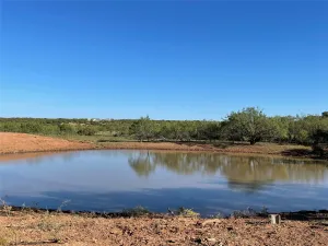 Bronte, TX 76933