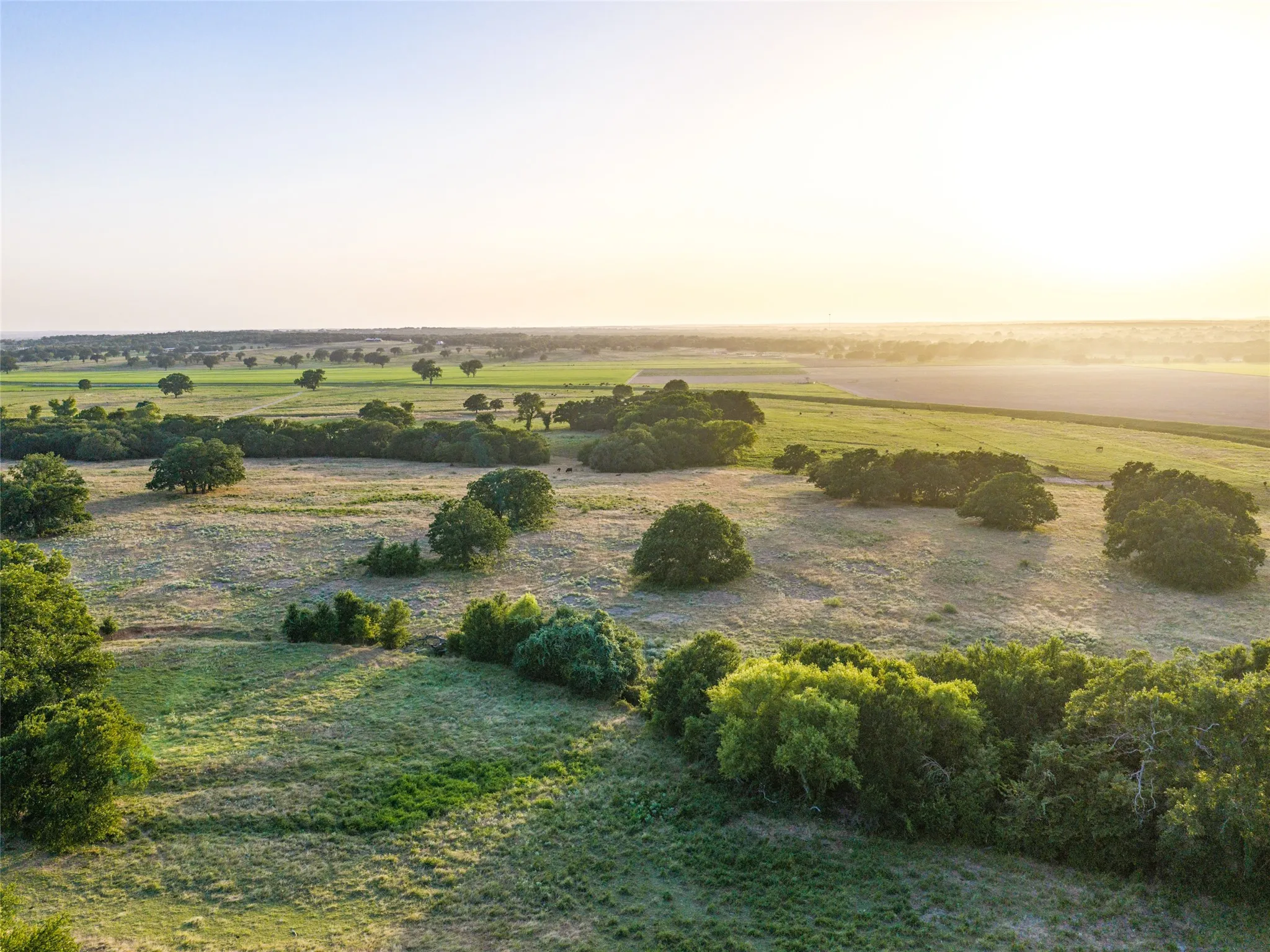 Paradise, TX 76073