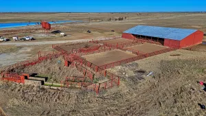 Petrolia, TX 76377