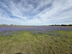 Alvarado, TX 76009