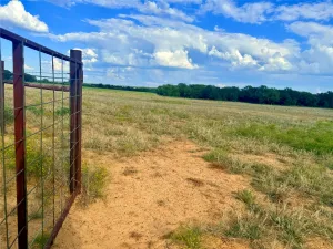 Jacksboro, TX 76458