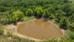 Stephenville, TX 76401
