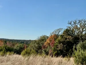 Hico, TX 76457