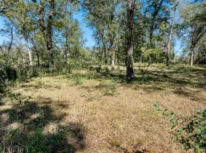 Gonzales, TX 78629