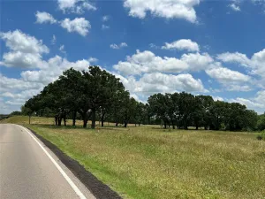 Sulphur Springs, TX 75482