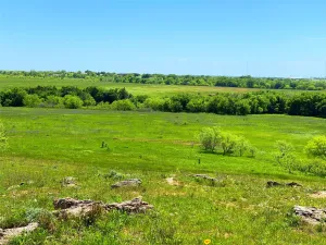 Bowie, TX 76230