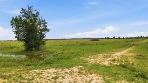Hallettsville, TX 77964