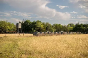 Stephenville, TX 76401