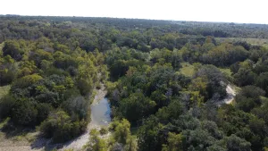 Carlton, TX 76436