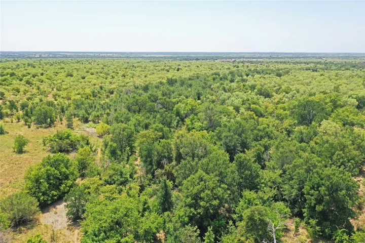 Perrin, TX 76486