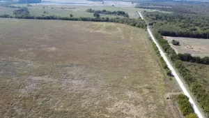 Dawson, TX 76639