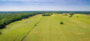Paris, TX 75462
