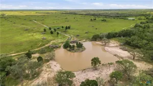 Hallettsville, TX 77964