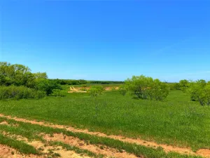 Bowie, TX 76230