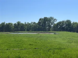 Lake Creek, TX 75450