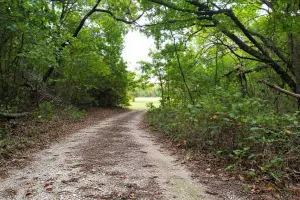 Van Alstyne, TX 75495
