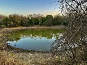 Hico, TX 76457