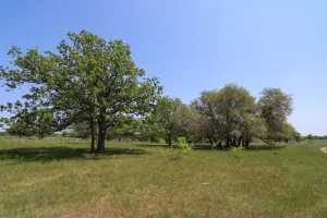 Moody, TX 76557