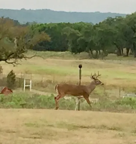 Bluff Dale, TX 76433