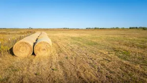 Alvarado, TX 76009