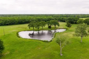 Wills Point, TX 75169
