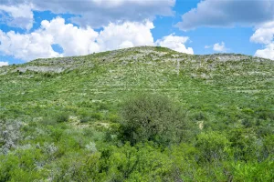 Uvalde, TX 78801