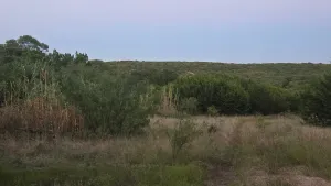 Abilene, TX 79602