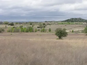 Evant, TX 76525