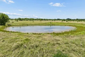 Greenville, TX 75401